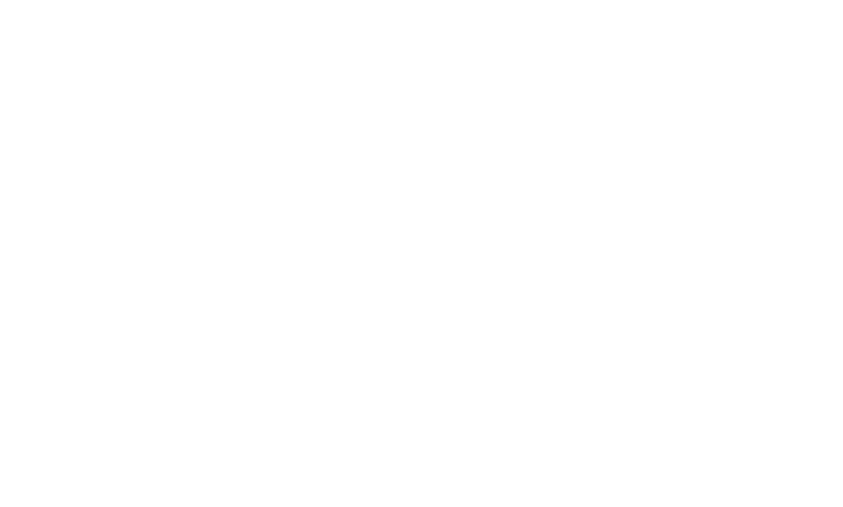 Original Function